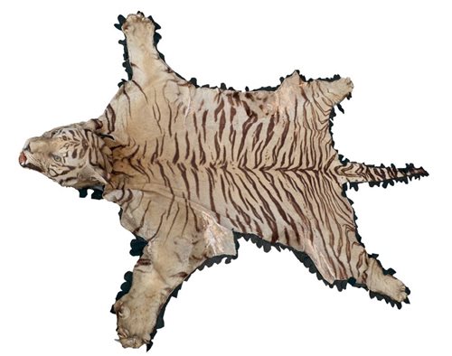 Lot 787 - An early 20th century Tiger skin rug with head...