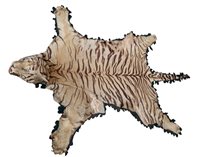 Lot 787 - An early 20th century Tiger skin rug with head...