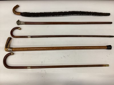 Lot 2663 - Edwardian silver plated dogs head walking stick and four other old walking sticks