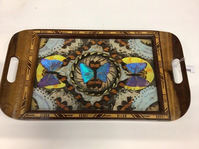 Lot 2668 - Butterfly wing tray, and a group of butterfly wing pictures
