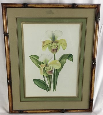 Lot 292 - Sara Pantelias, contemporary, pair of botanical watercolours, signed and tiled, 38cm x 28cm, in faux bamboo frames, together with three other pictures  (5)