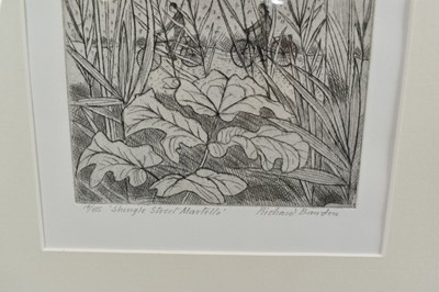 Lot 1129 - *Richard Bawden (b.1936) etching - Shingle Street Martello, signed, titled and numbered 14/85, in glazed frame