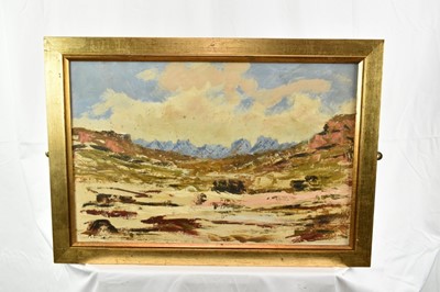 Lot 1147 - *Peter Coker (1926-2004) oil on board - extensive landscape, signed lower left, 40cm x 60cm, framed