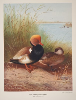 Lot 910 - John Guille Millais - British Diving Ducks, two Vols, 72 colour, collotype or photogravure plates, 1913 first edition, numbered 183 from an edition of 450, good quality half calf rebinding with mar...