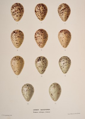 Lot 900 - F. Poynting - Eggs of British birds with some account of their breeding habits. London, R.H. Porter 1895-96, in two Vols, tooled leather, 30 x 25cm
