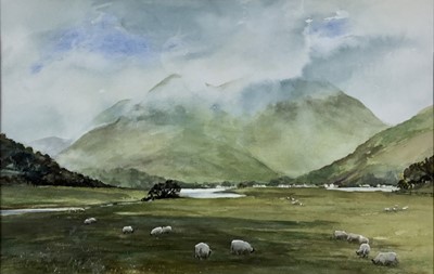 Lot 58 - Jill Parker, Contemporary English School. “Ballachulish, Argyll”, watercolour of a Scottish landscape with sheep in foreground. Signed lower left. Mounted in frame