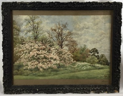 Lot 180 - Early 20th century English School, “Kew” and “Above Lindale”, pair of watercolours. Initialed and dated lower right, ’03 and ’05. Framed