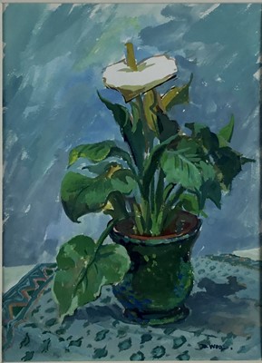 Lot 8 - David Wood gouache - still life of a peace lily, signed, 24cm x 34cm mounted in glazed frame (44cm x 54cm overall)