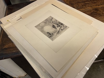 Lot 161 - Group of etchings