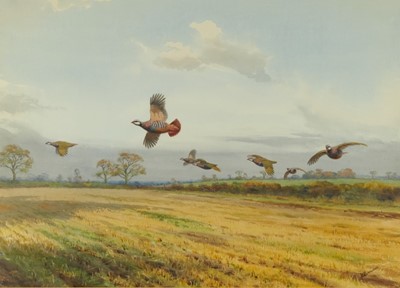 Lot 1044 - *John Cyril Harrison (1898-1985) watercolour - French Partidges, signed, 55cm x 75cm, in glazed gilt frame 
Provenance: The Tryon Gallery Ltd., Dover Street, London