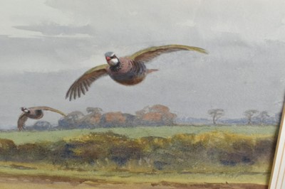 Lot 1044 - *John Cyril Harrison (1898-1985) watercolour - French Partidges, signed, 55cm x 75cm, in glazed gilt frame 
Provenance: The Tryon Gallery Ltd., Dover Street, London