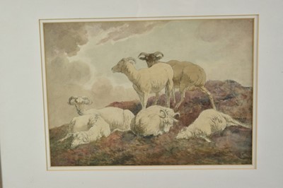Lot 1226 - Robert Hills (1769-1844) watercolour - Sheep at Rest, signed verso, 26cm x 36cm, in glazed gilt frame