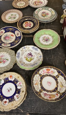 Lot 187 - Good collection of 19th century English porcelain botanical plates