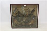Lot 792 - Victorian glazed case containing a brace of...