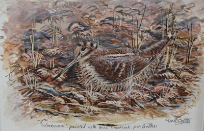 Lot 1035 - Mark Chester (b.1960) pair of watercolours and gouache painted with the pin feathers of the Woodcocks illustrated, signed and inscribed, 12.5cm x 17.5cm, in glazed gilt frames