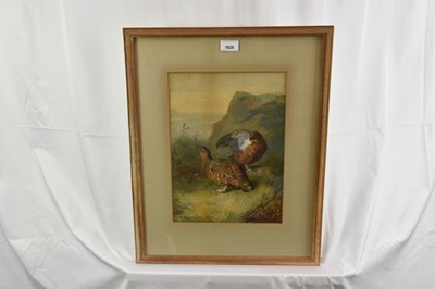 Lot 1028 - Archibald Thorburn (1860-1935) watercolour - Brace of Grouse, signed and dated 1885, 35cm x 25cm, in glazed frame