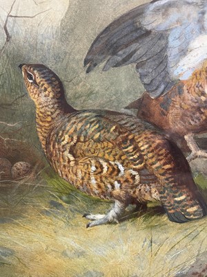 Lot 1028 - Archibald Thorburn (1860-1935) watercolour - Brace of Grouse, signed and dated 1885, 35cm x 25cm, in glazed frame