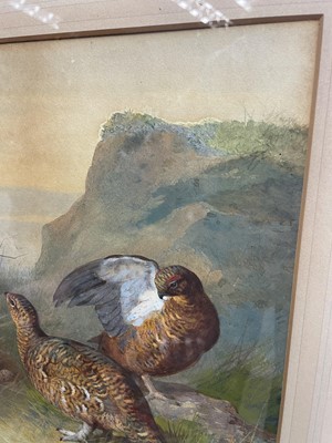 Lot 1028 - Archibald Thorburn (1860-1935) watercolour - Brace of Grouse, signed and dated 1885, 35cm x 25cm, in glazed frame