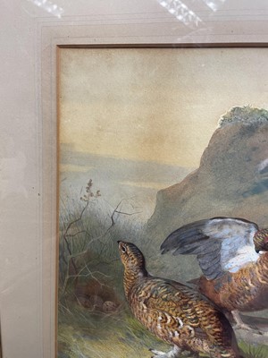 Lot 1028 - Archibald Thorburn (1860-1935) watercolour - Brace of Grouse, signed and dated 1885, 35cm x 25cm, in glazed frame