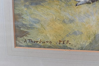 Lot 1028 - Archibald Thorburn (1860-1935) watercolour - Brace of Grouse, signed and dated 1885, 35cm x 25cm, in glazed frame