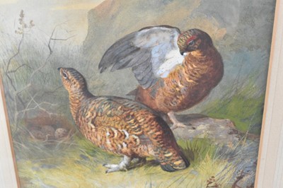 Lot 1028 - Archibald Thorburn (1860-1935) watercolour - Brace of Grouse, signed and dated 1885, 35cm x 25cm, in glazed frame