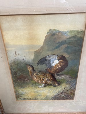 Lot 1028 - Archibald Thorburn (1860-1935) watercolour - Brace of Grouse, signed and dated 1885, 35cm x 25cm, in glazed frame