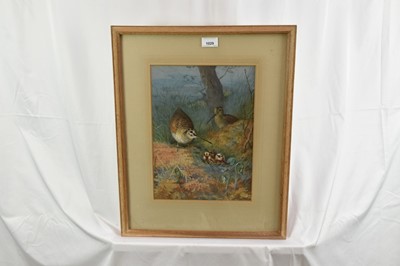 Lot 1029 - Archibald Thorburn (1860-1935) watercolour - Woodcock Family, signed, in glazed frame