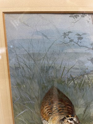Lot 1029 - Archibald Thorburn (1860-1935) watercolour - Woodcock Family, signed, in glazed frame