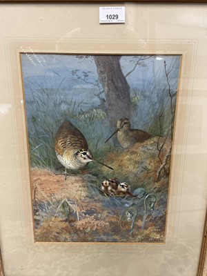 Lot 1029 - Archibald Thorburn (1860-1935) watercolour - Woodcock Family, signed, in glazed frame