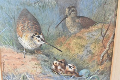 Lot 1029 - Archibald Thorburn (1860-1935) watercolour - Woodcock Family, signed, in glazed frame