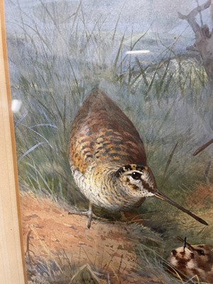 Lot 1029 - Archibald Thorburn (1860-1935) watercolour - Woodcock Family, signed, in glazed frame