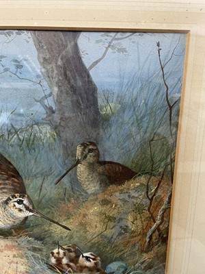 Lot 1029 - Archibald Thorburn (1860-1935) watercolour - Woodcock Family, signed, in glazed frame