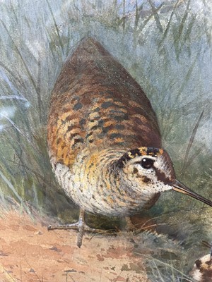 Lot 1029 - Archibald Thorburn (1860-1935) watercolour - Woodcock Family, signed, in glazed frame