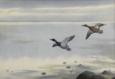 Lot 212 - Philip Rickman (1891-1982) watercolour and gouache - Mallard in Flight, signed, 19cm x 28cm, in glazed gilt frame