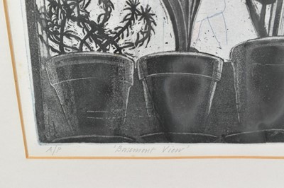 Lot 1124 - *Richard Bawden (b.1936) signed Artist’s Proof - Basement View (Northgate Street, Colchester) 35.5cm x 51cm in glazed frame