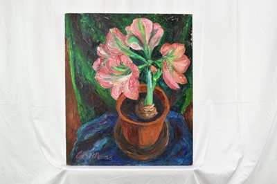 Lot 1162 - *Colin Moss ARCA (1914-2005) oil on canvas - Amaryllis, signed, 62cm x 52cm unframed
