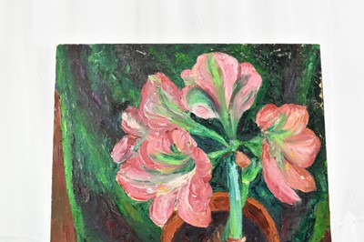 Lot 1162 - *Colin Moss ARCA (1914-2005) oil on canvas - Amaryllis, signed, 62cm x 52cm unframed