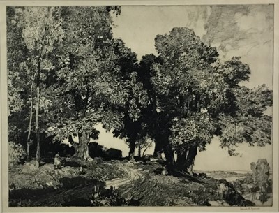 Lot 219 - Leonard Russell Squirrell (1893-1979), etching - A Sunny Hillside, signed in pencil, framed and glazed