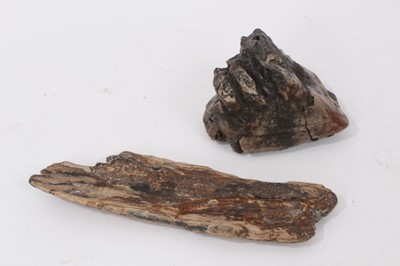 Lot 709 - A woolly mammoth molar tooth and a segment of mammoth tusk, discovered on the North Sea bed (2)