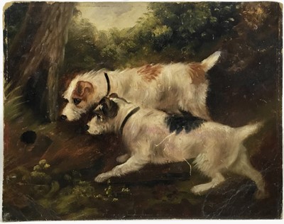 Lot 193 - Attributed to Edward Armfield oil on board, a pair, Terrier Dogs rabbiting