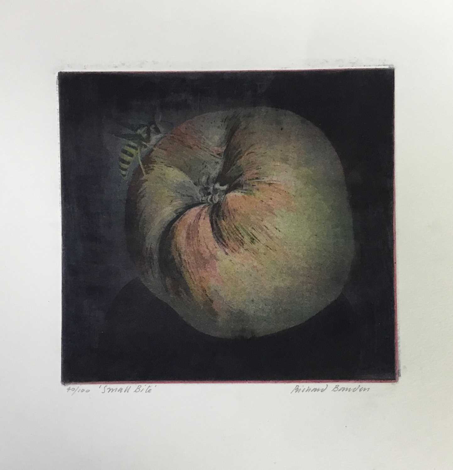 Lot 237 - Richard Bawden (b. 1936) colour etching  - 'Small bite', signed and numbered 40/100, 15 x 16cm