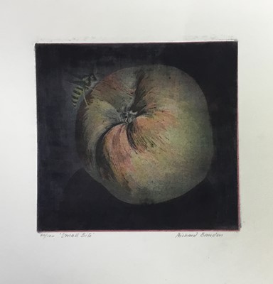 Lot 237 - Richard Bawden (b. 1936) colour etching  - 'Small bite', signed and numbered 40/100, 15 x 16cm