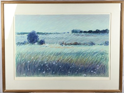 Lot 38 - 20th Century signed limited edition print - Autumn Pasture II, signed indistinctly, 37/250, 60cm x 86cm mounted in glazed frame (85cm x 110cm overall)
