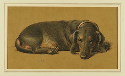 Lot 1047 - Maurice Clarke (1875-?) charcoal and pastel - Dachshund, signed, 24.5cm x 42.5cm, in glazed frame 
NB: Clarke was Art Master of Harrow 1922-1936 and 1940-1945