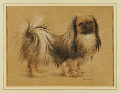 Lot 1048 - Maurice Clarke (1875-?) charcoal and pastel - Pekingese, signed, 31cm x 41cm, in glazed frame 
NB: Clarke was Art Master of Harrow 1922-1936 and 1940-1945