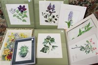 Lot 1024 - Joan Ascott nee Earee (1915 - 2017),...