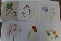 Lot 1025 - Joan Ascott nee Earee (1915 - 2017),...