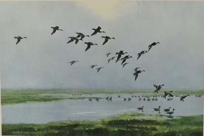 Lot 1034 - Sir Peter Scott (1909-1989) signed coloured print - Pintails on a Hazy Day, published by Ackermann & Son., 38cm x 55cm, in glazed frame