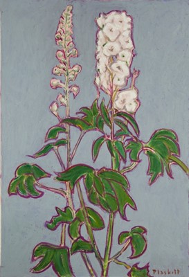 Lot 1066 - Joseph Plaskett (1918-2014) oil on canvas - The White Delphinium, signed, titled verso, 102cm x 70cm, unframed