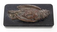 Lot 729 - Late 19th century bronze study of a dead bird,...